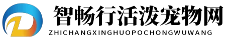 智畅行活泼宠物网